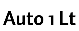 Auto 1 Lt