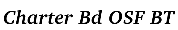 Charter Bd OSF BT Font Image