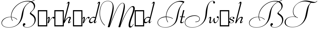 BernhardMod ItSwash BT Font Image