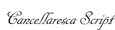 Cancellaresca Script