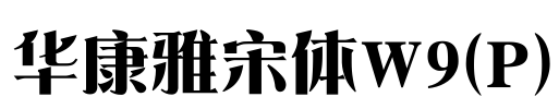华康雅宋体W9(P)