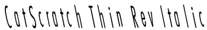 CatScratch Thin Rev Italic Font Image