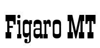Figaro MT Font Image