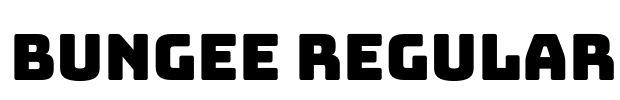 Bungee Regular
