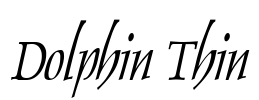 Dolphin Thin Font Image