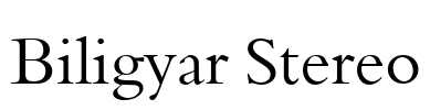 Biligyar Stereo Font Image