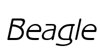 Beagle