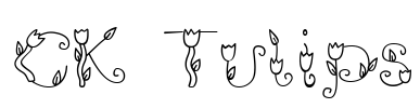 CK Tulips