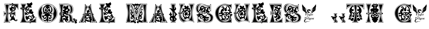 Floral Majuscules, 11th c. Font Image