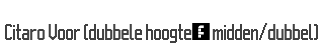 Citaro Voor (dubbele hoogte, midden/dubbel) Font Image