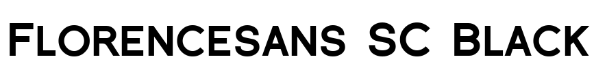 Florencesans SC Black