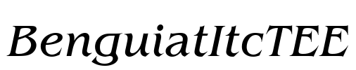 BenguiatItcTEE