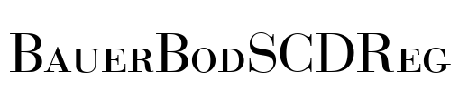 BauerBodSCDReg Font Image