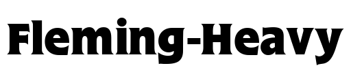 Fleming-Heavy Font Image