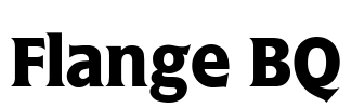 Flange BQ
