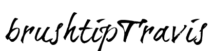 brushtipTravis