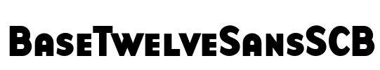 BaseTwelveSansSCB Font Image