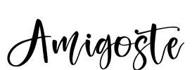 Amigoste Font Image