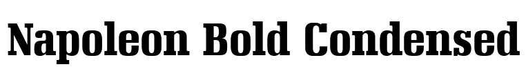 Napoleon Bold Condensed Font Image