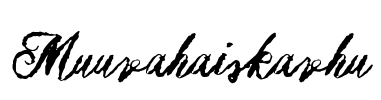 Muurahaiskarhu