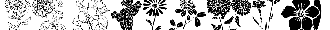 DT Flowers 1 Font Image