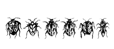 Buggys Font Image