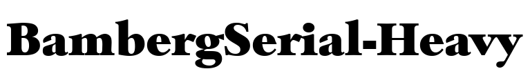 BambergSerial-Heavy Font Image