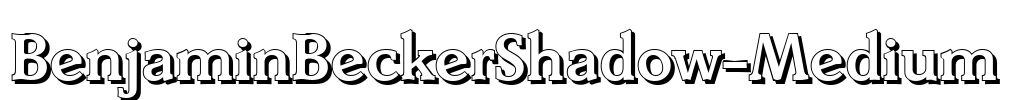 BenjaminBeckerShadow-Medium