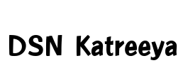 DSN Katreeya Font Image