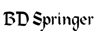 BD Springer Font Image