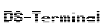 DS-Terminal