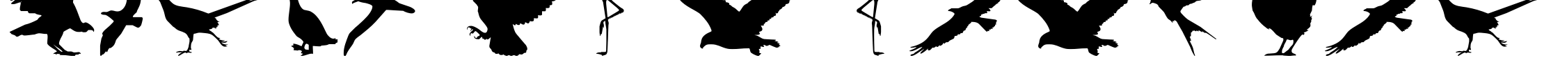Birds of a Feather Font Image