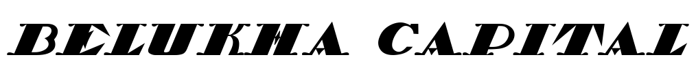Belukha Capital
