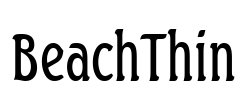 BeachThin