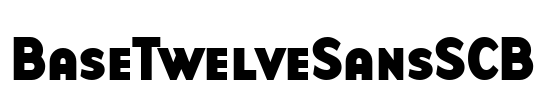 BaseTwelveSansSCB Font Image
