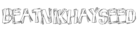 BeatnikHayseed