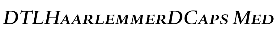 DTLHaarlemmerDCaps Med Font Image