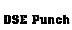 DSE Punch Font Image