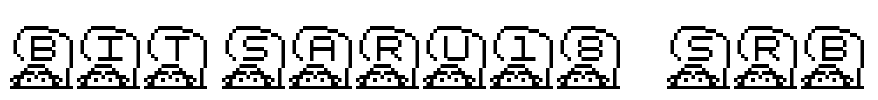 Bit SARU18 (sRB) Font Image