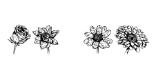 Blumen