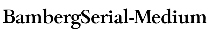 BambergSerial-Medium Font Image