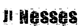 JI-Nesses