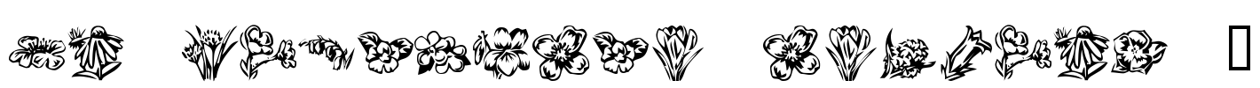 KR Beautiful Flowers 2