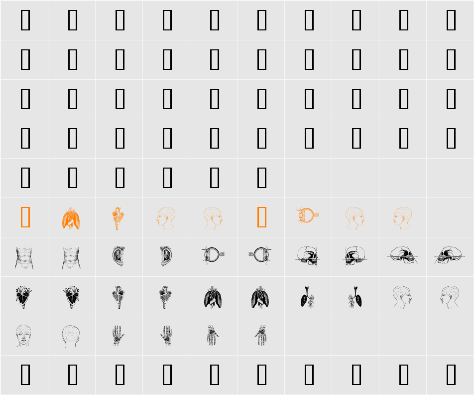 the body, vol. I Character Map