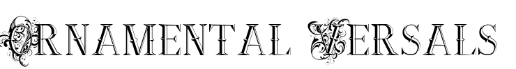 Ornamental Versals Font Image