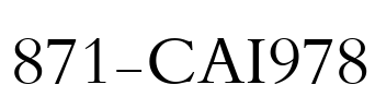 871-CAI978