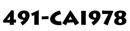 491-CAI978