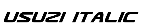 Usuzi Italic Font Image