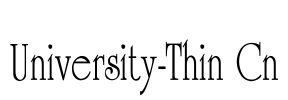 University-Thin Cn Font Image