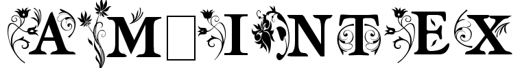 am_intex